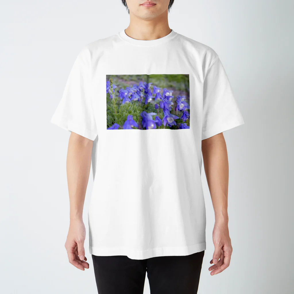 ぷらっこの羊蹄山のミヤマオダマキ Regular Fit T-Shirt