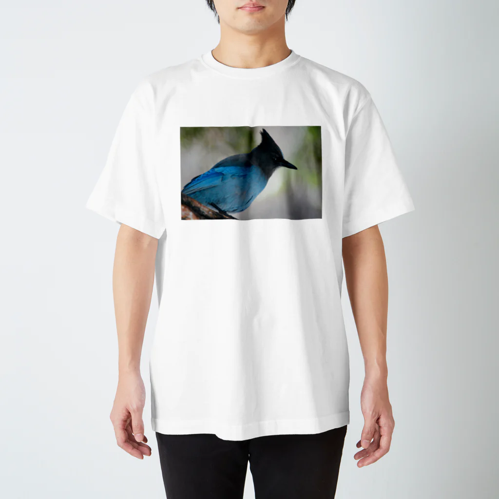 ぷらっこのヨセミテの青い鳥 Regular Fit T-Shirt