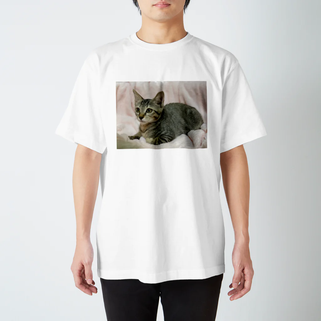 にゃんまるHOUSEのキジトラ(*ΦωΦ)leeﾘｰ Regular Fit T-Shirt