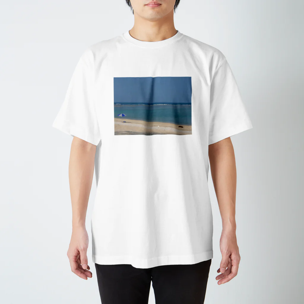 トントコトンの徳之島の海！ スタンダードTシャツ