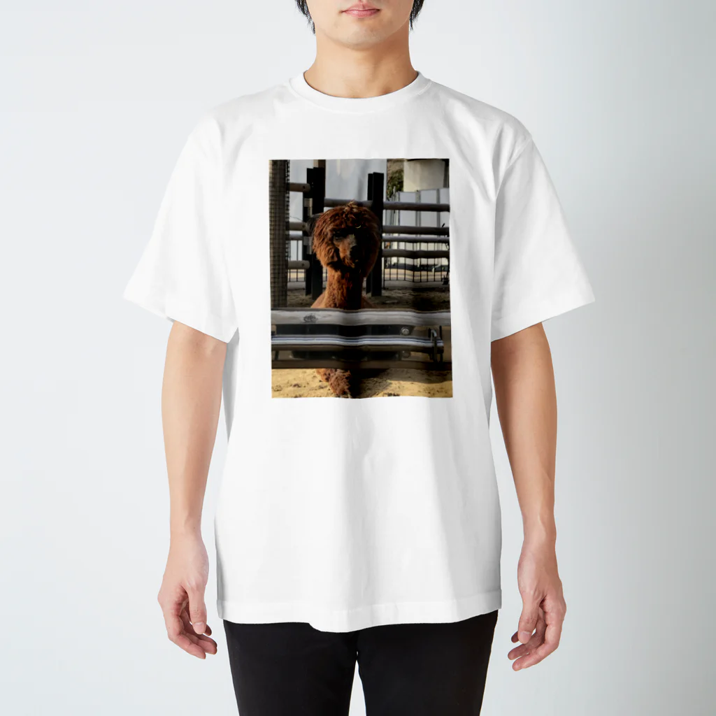 nosmokingのアルパカ Regular Fit T-Shirt