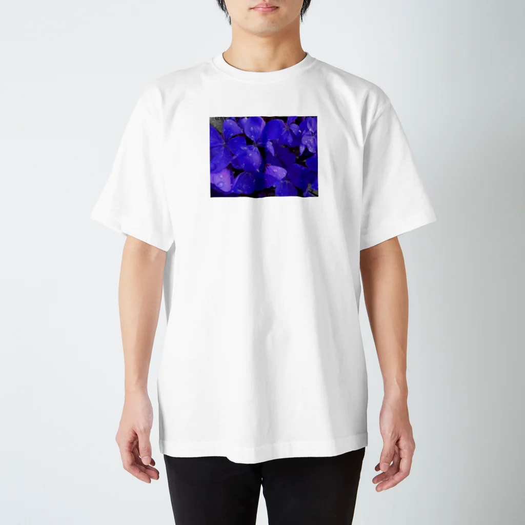 オサカナ百貨店の撮った写真を貼っただけ1 知らない花 スタンダードTシャツ