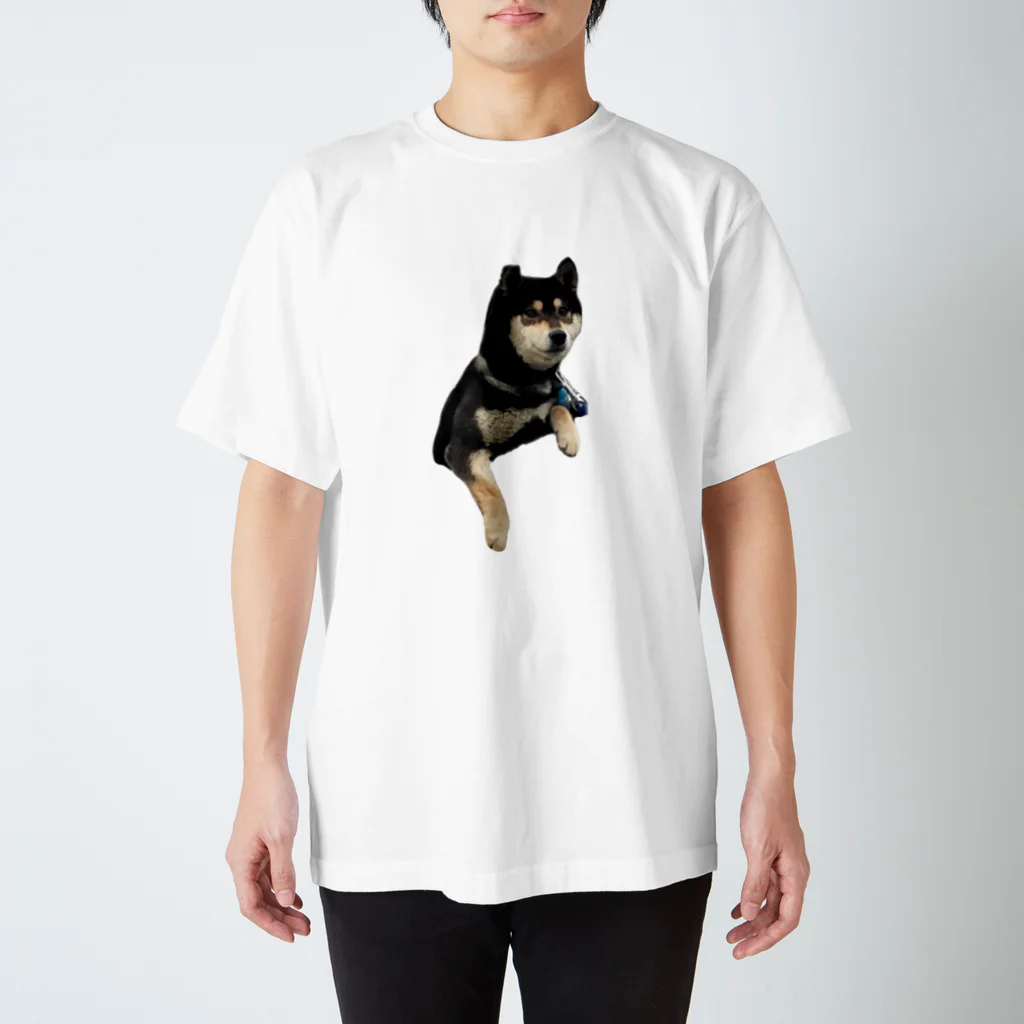 柴犬と柴犬のshibainuうちの子2 スタンダードTシャツ