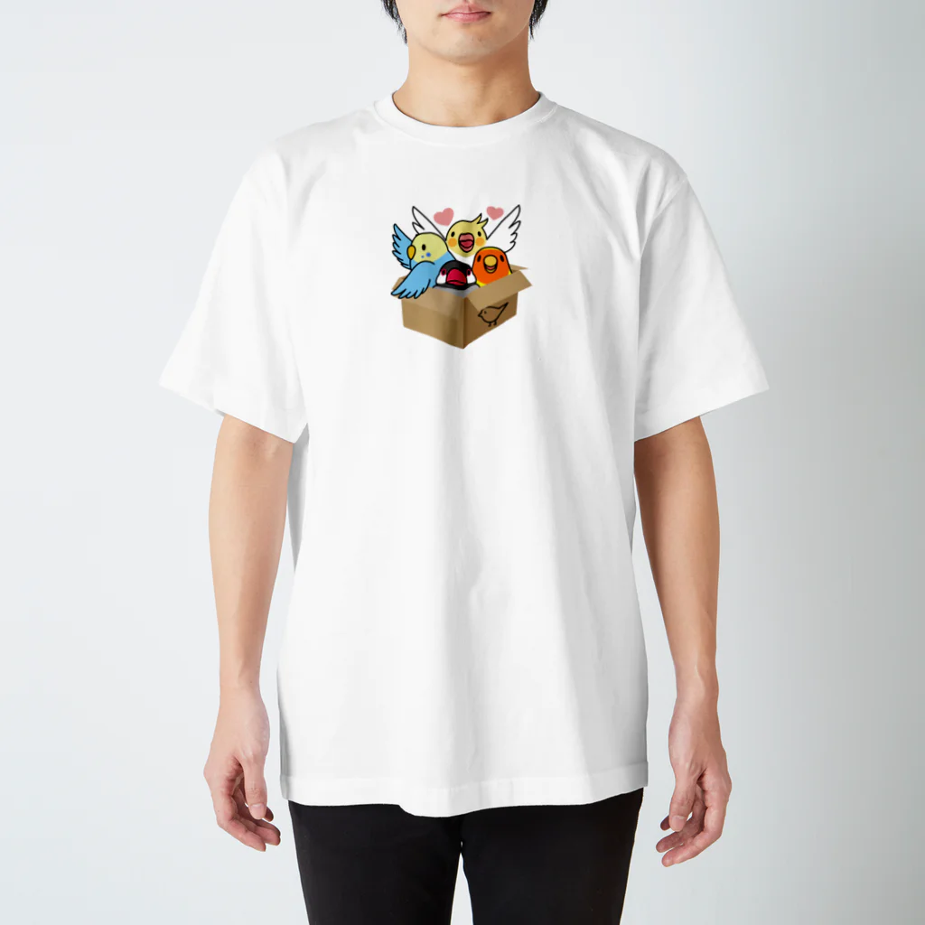 まめるりはことりの拾ってくださいインコ【まめるりはことり】 スタンダードTシャツ