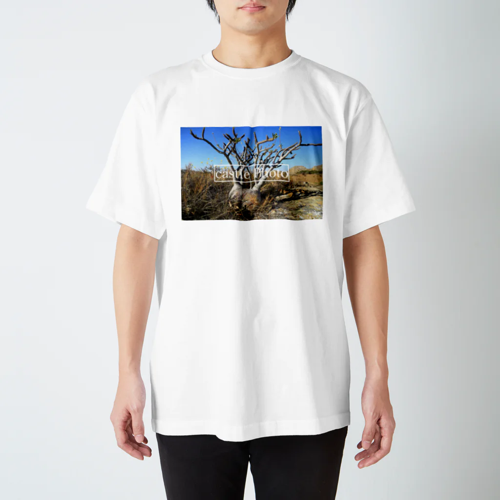 グリーン168ショップの原生地グラキリス スタンダードTシャツ