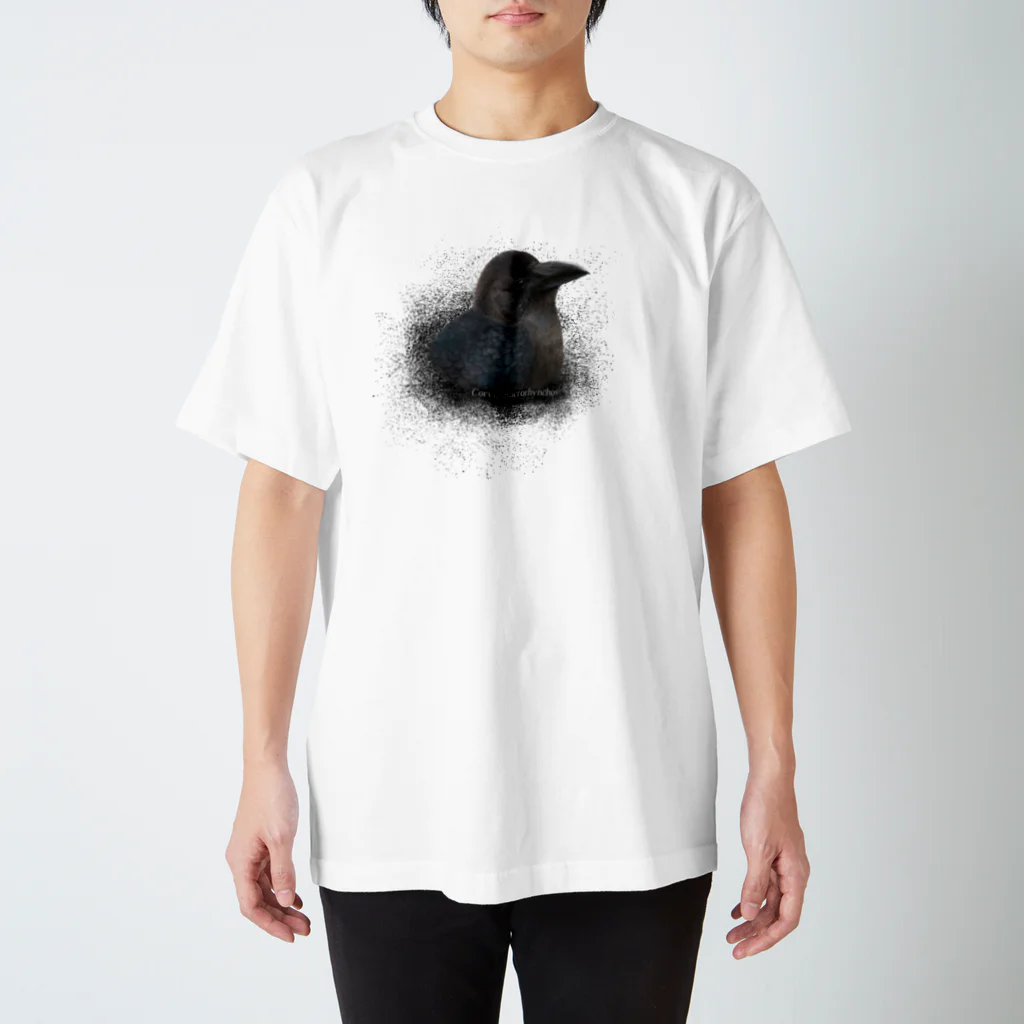 野鳥生活のハシブトガラス幼鳥（★寄付） スタンダードTシャツ