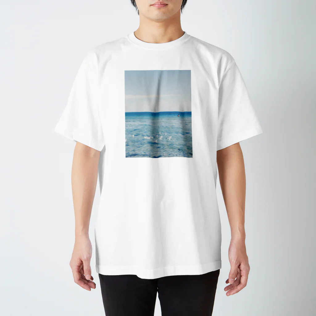 kayaのカヤボルンカモメ🦢 Regular Fit T-Shirt