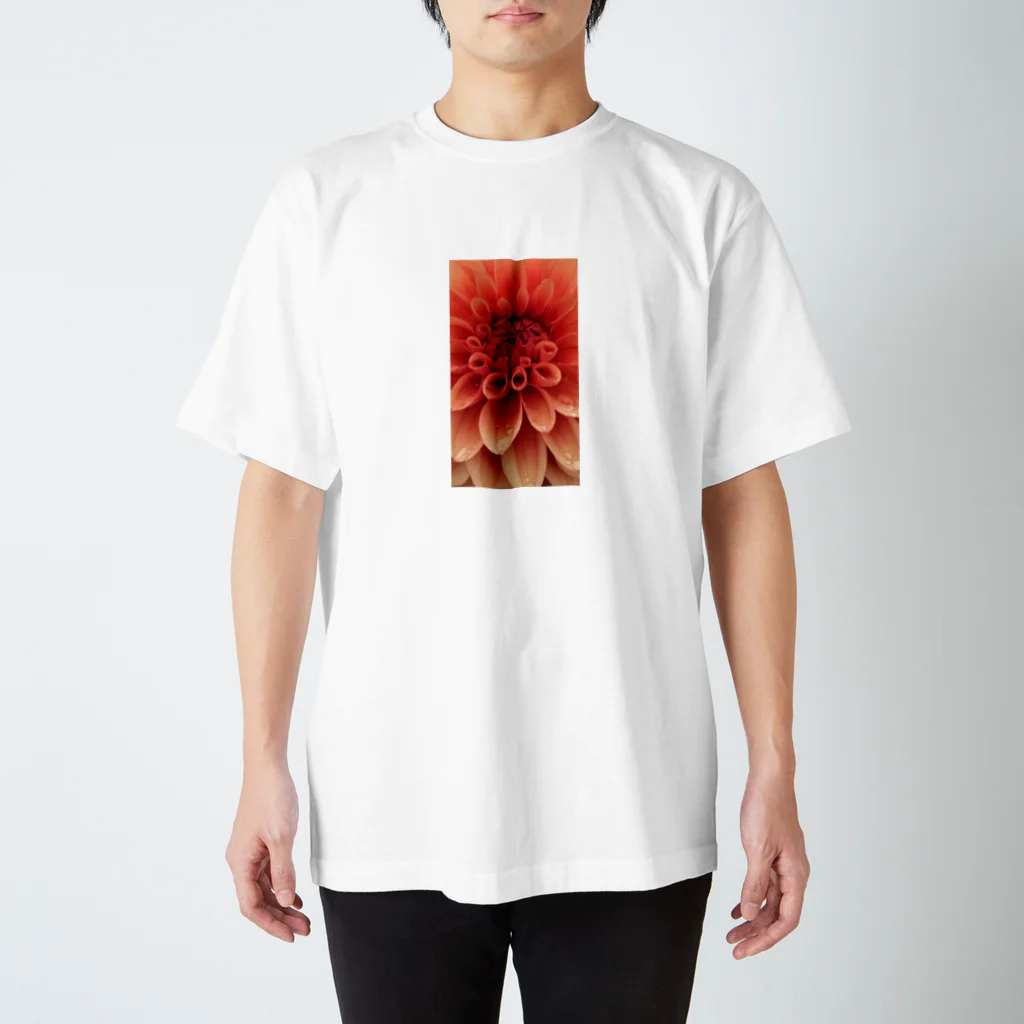 HAKUSAIの天竺牡丹 Regular Fit T-Shirt