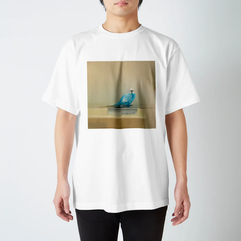 なめくじらの海のインコ様が見てる スタンダードTシャツ