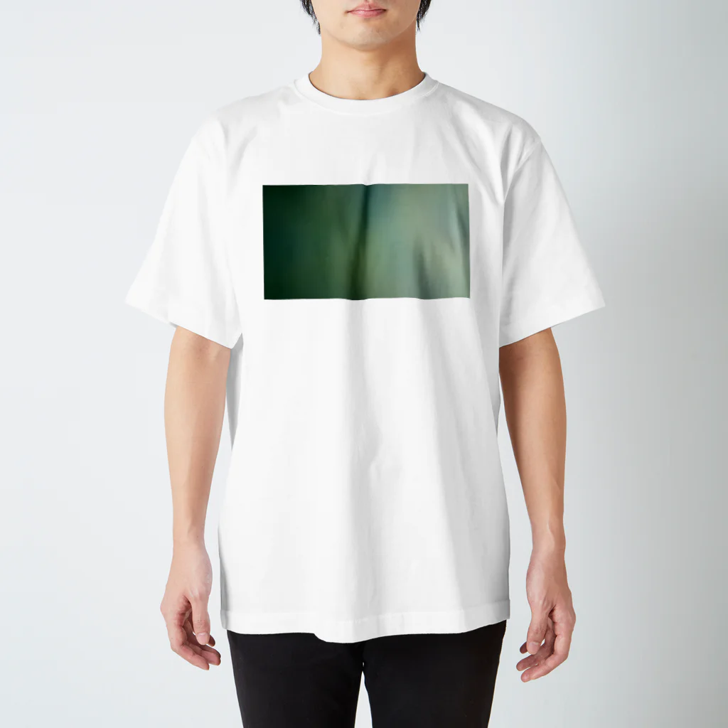 あいうえおっとせいのぐりーんの柚葉色 スタンダードTシャツ