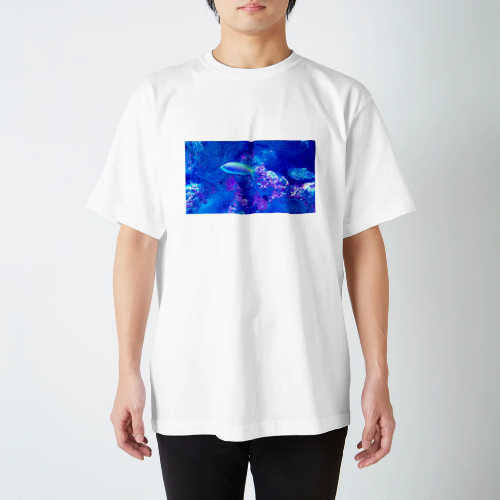 ことりの家のウメイロモドキ スタンダードTシャツ