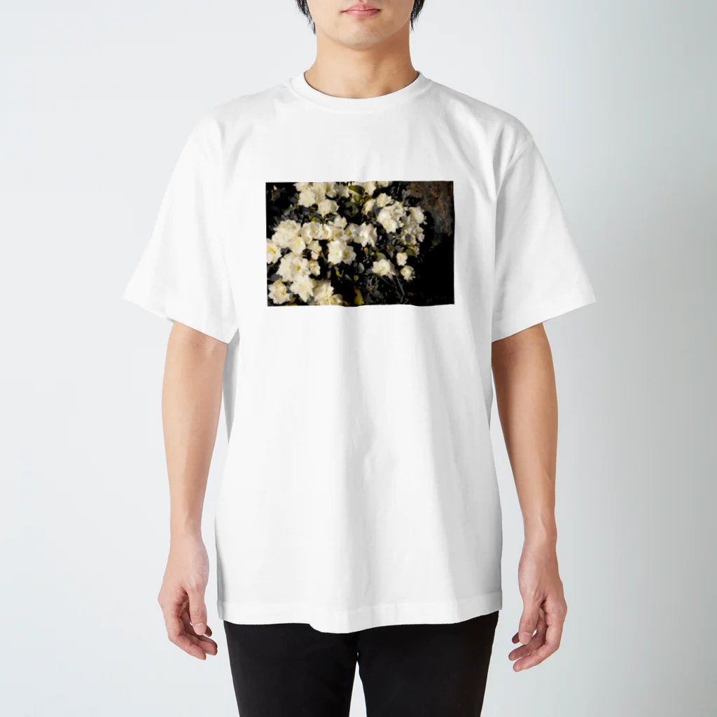 視線の先のたわわflower スタンダードTシャツ