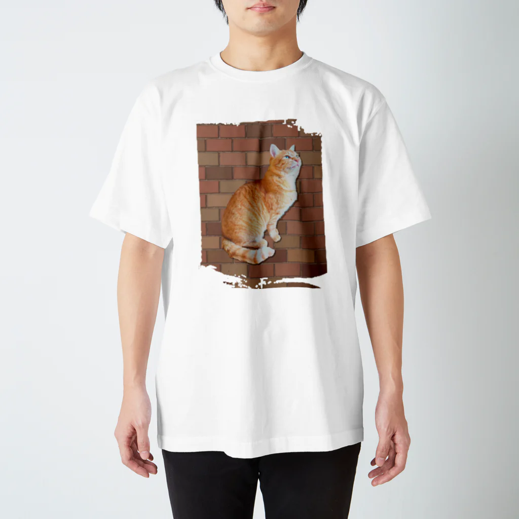 ともの茶トラにゃんこ Regular Fit T-Shirt