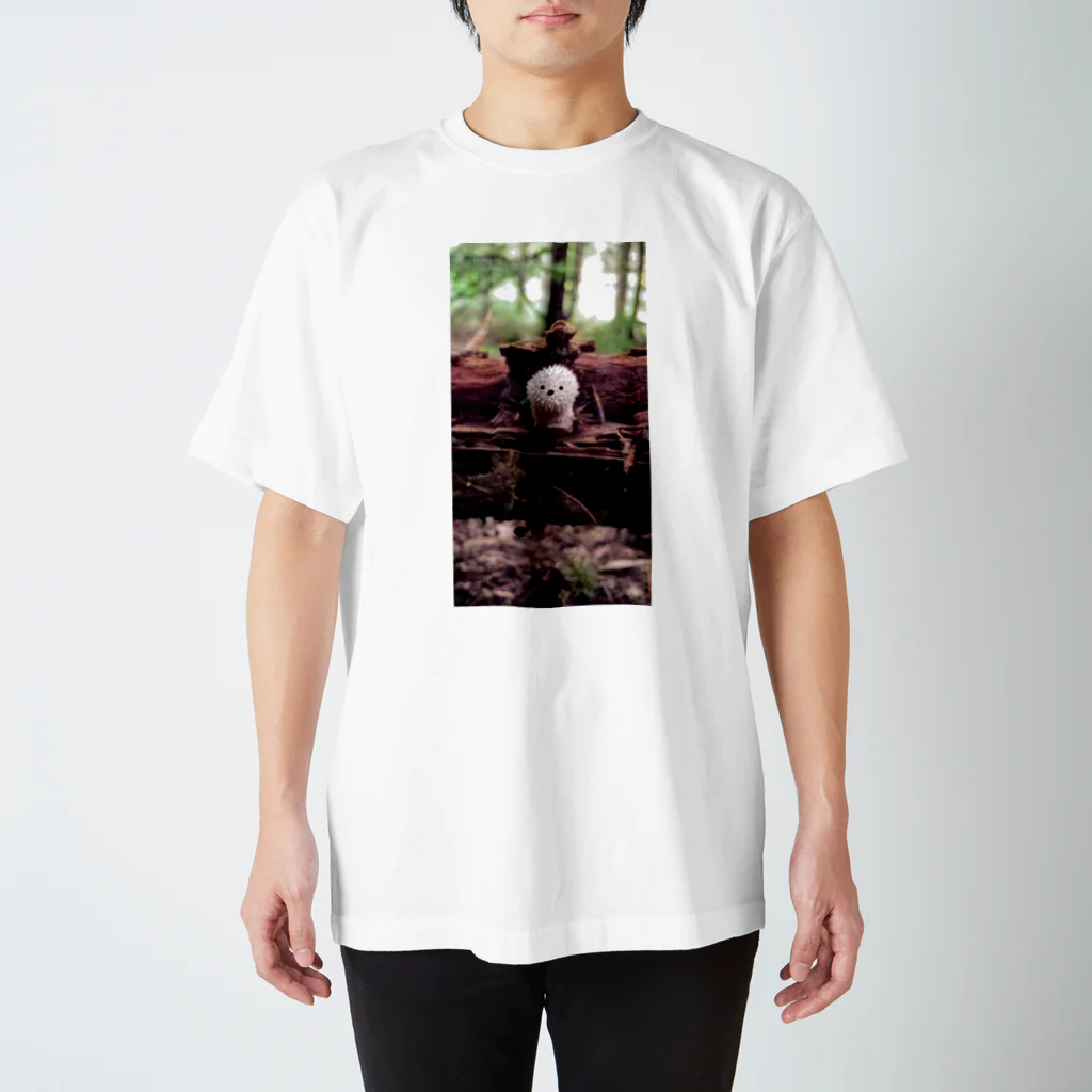 OskulL0の森の妖精 スタンダードTシャツ