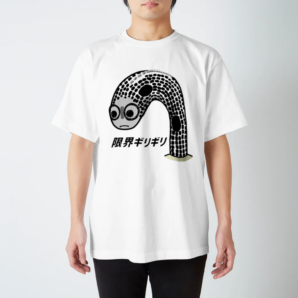 街のいろどりの限界ギリギリチンアナゴ スタンダードTシャツ