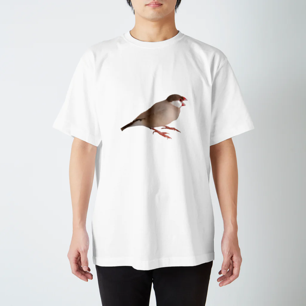 文鳥の千代丸と紅緒のあくびする千代丸 Regular Fit T-Shirt