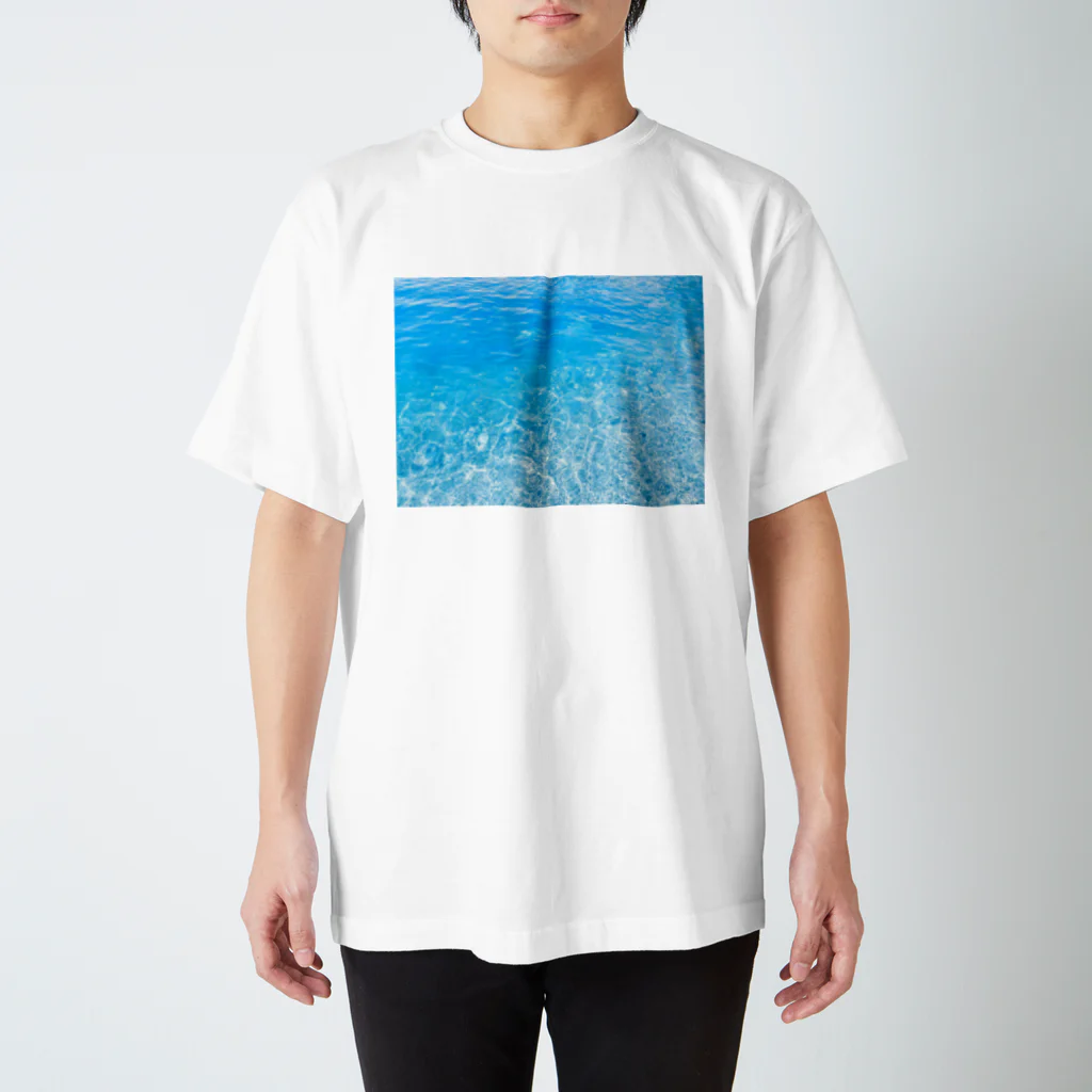 NINJA2の日本海 スタンダードTシャツ