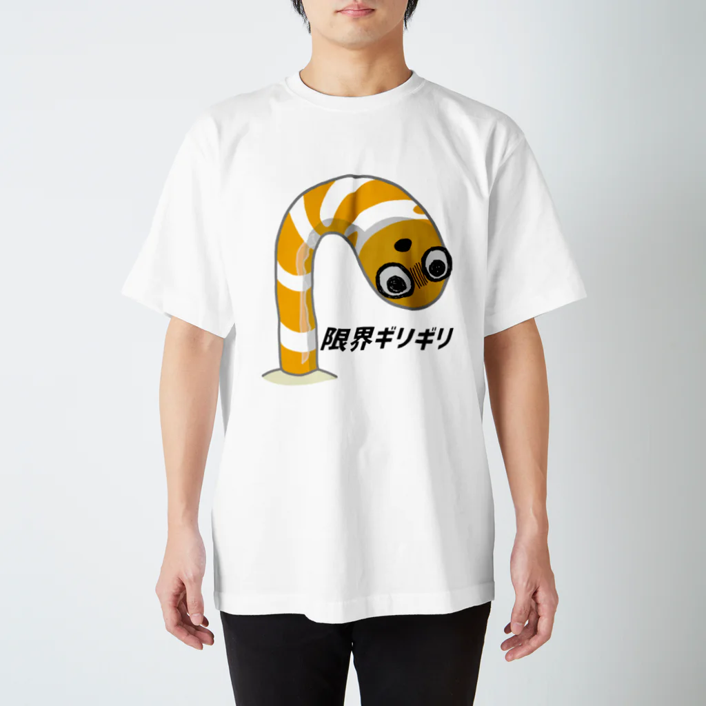 街のいろどりの限界ギリギリニシキアナゴ スタンダードTシャツ