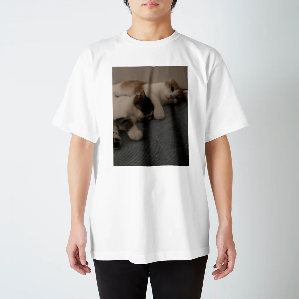 とろのらいんのはいけい Regular Fit T-Shirt