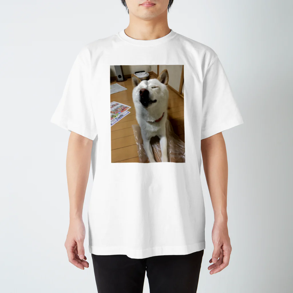 debukaiのクシャミ直前の犬 スタンダードTシャツ