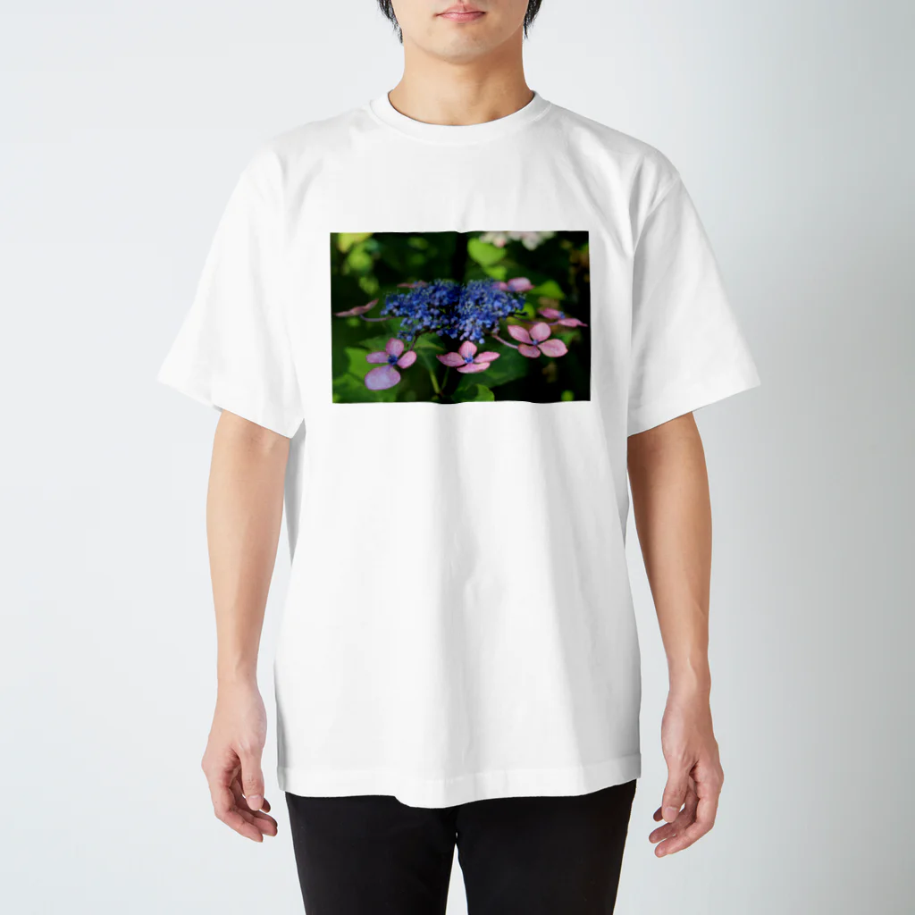田土〄10/14〄梅ジュース7/7のアジサイTシャツ Regular Fit T-Shirt