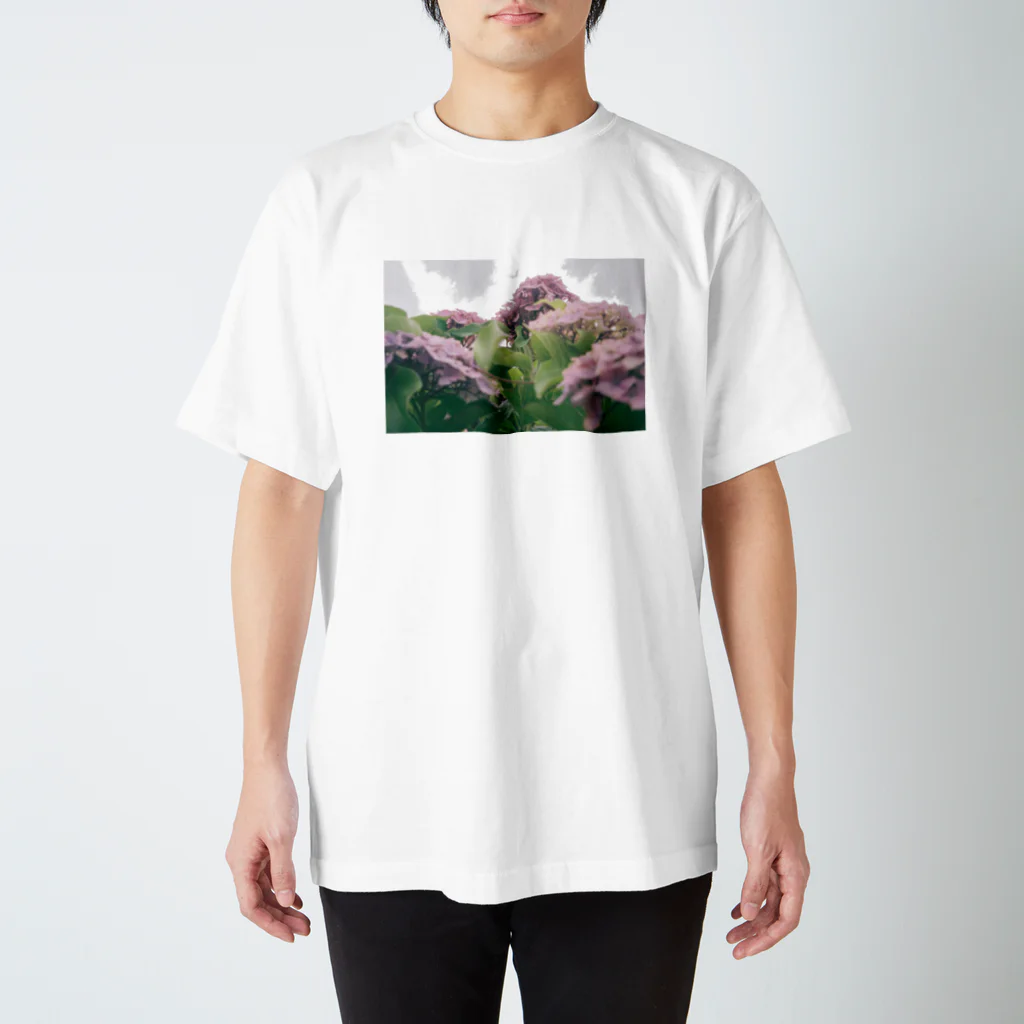 ハコニワの紫陽花 スタンダードTシャツ