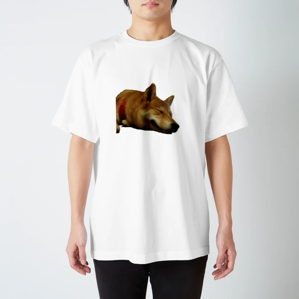 ヤモリの森の寝犬 スタンダードTシャツ