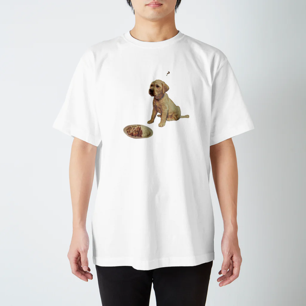 温泉同好会のRegular Fit T-Shirt