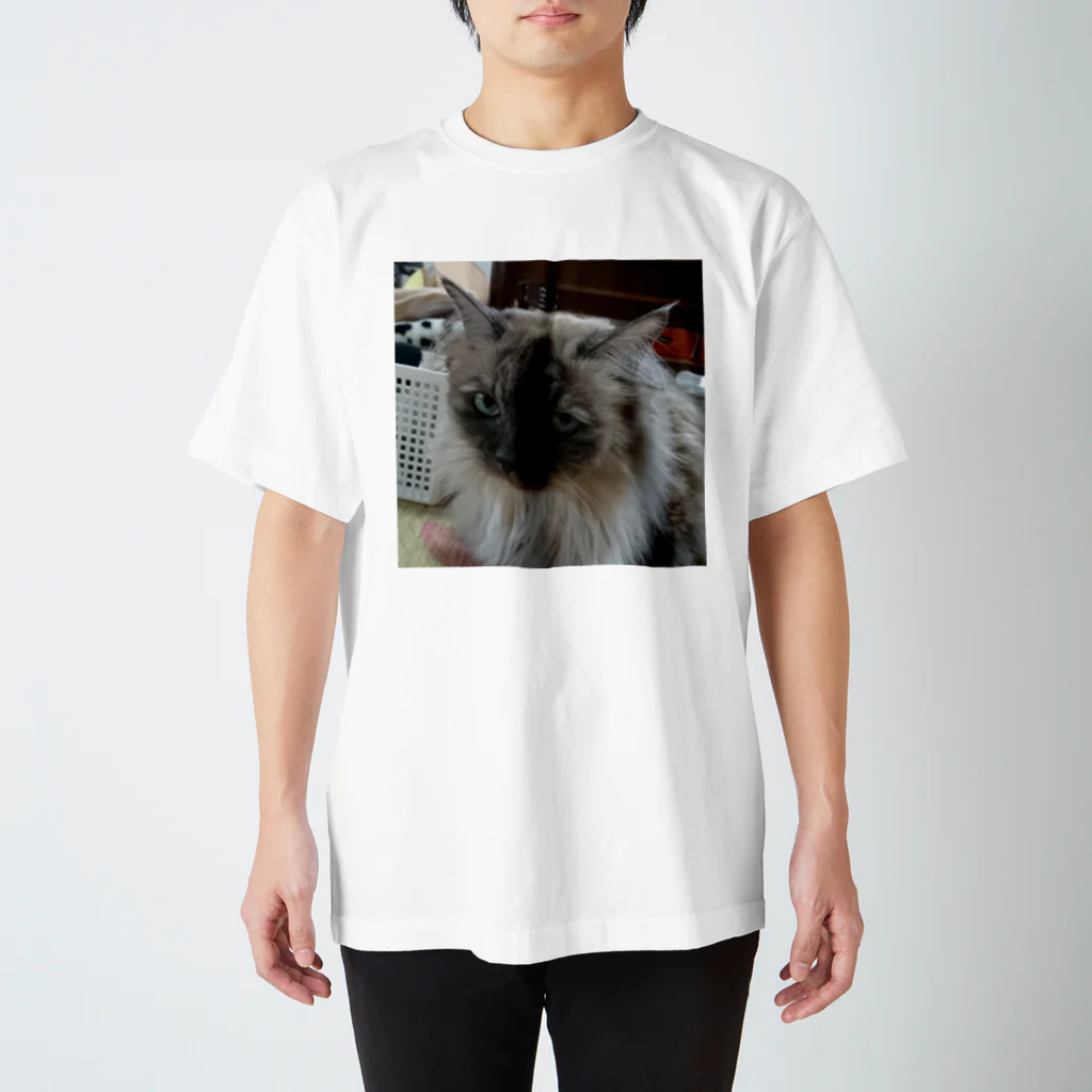 小圷のうちの猫 Regular Fit T-Shirt