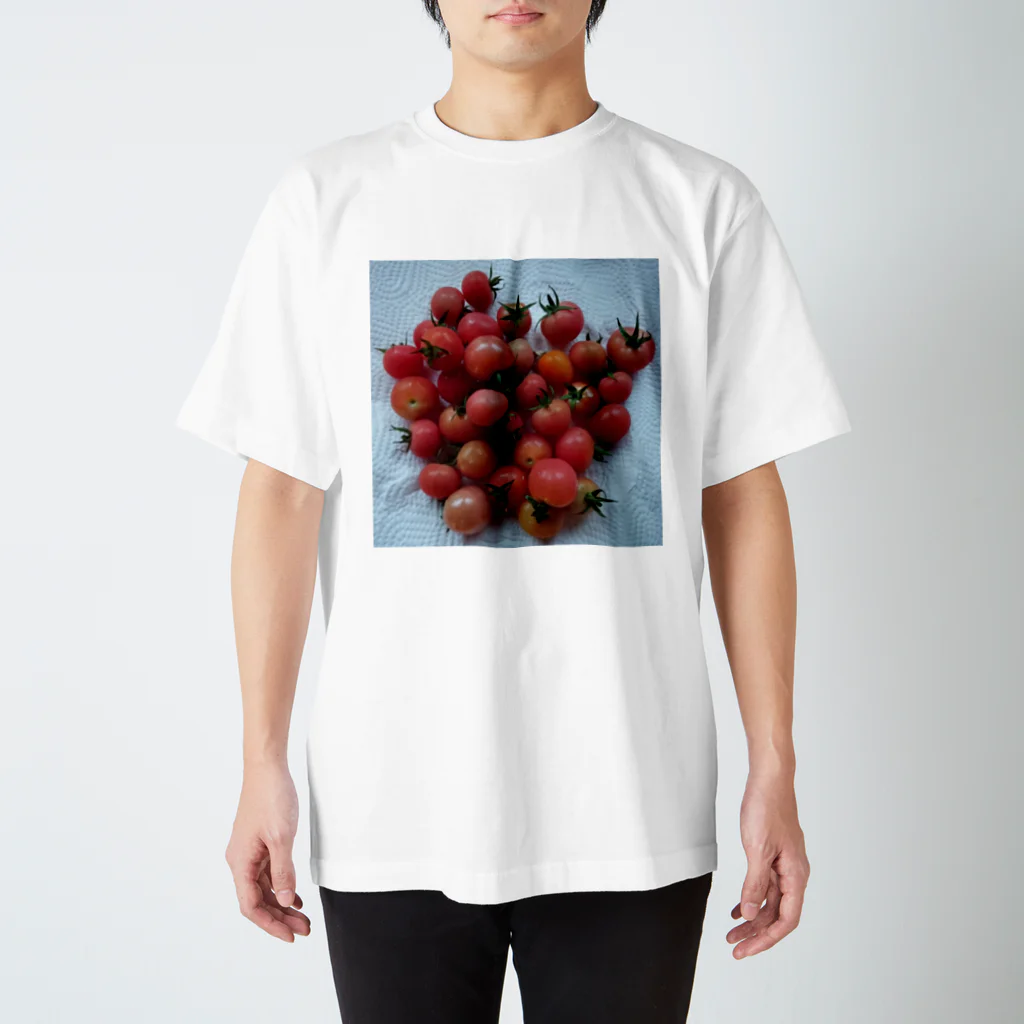 でおきしりぼ子の実験室のトマトが食べたかったのです。 Regular Fit T-Shirt