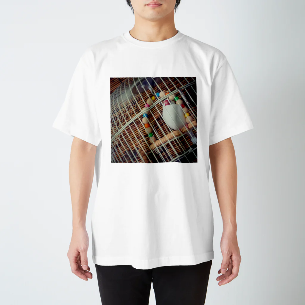 おしおのきままの隠し鳥 スタンダードTシャツ