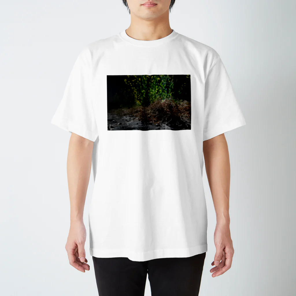 かわかみたくみの雑草 スタンダードTシャツ