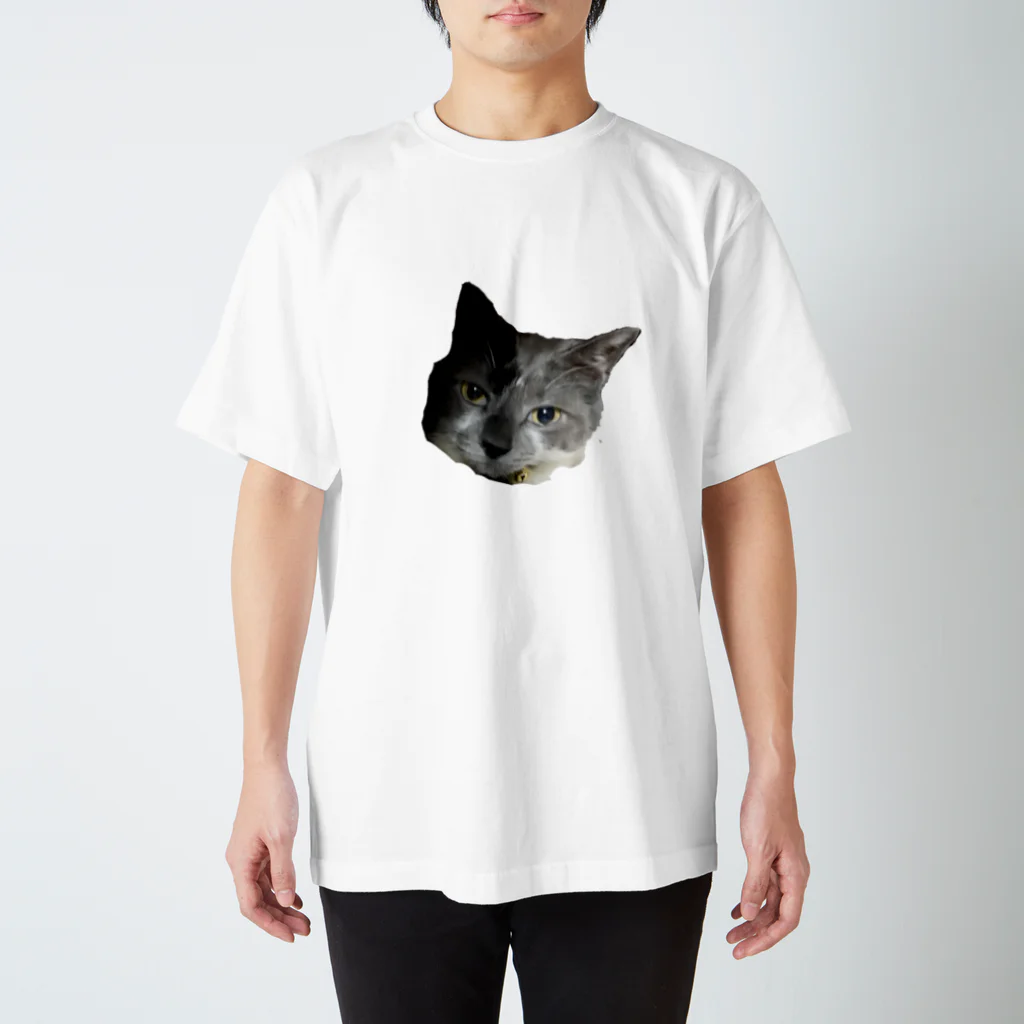 なもやんのお部屋。の猫のロン スタンダードTシャツ