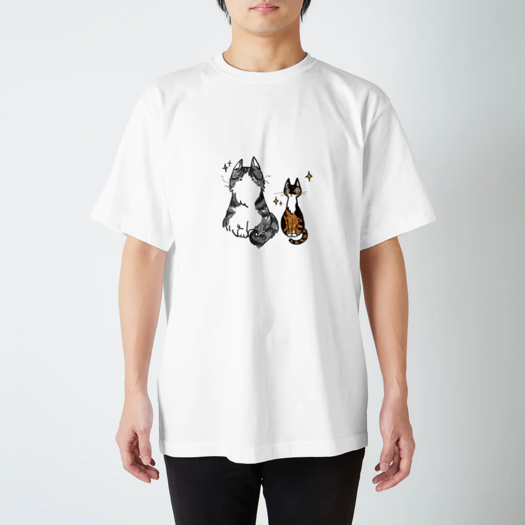 にゃーの宝箱のきたいのまなざし スタンダードTシャツ