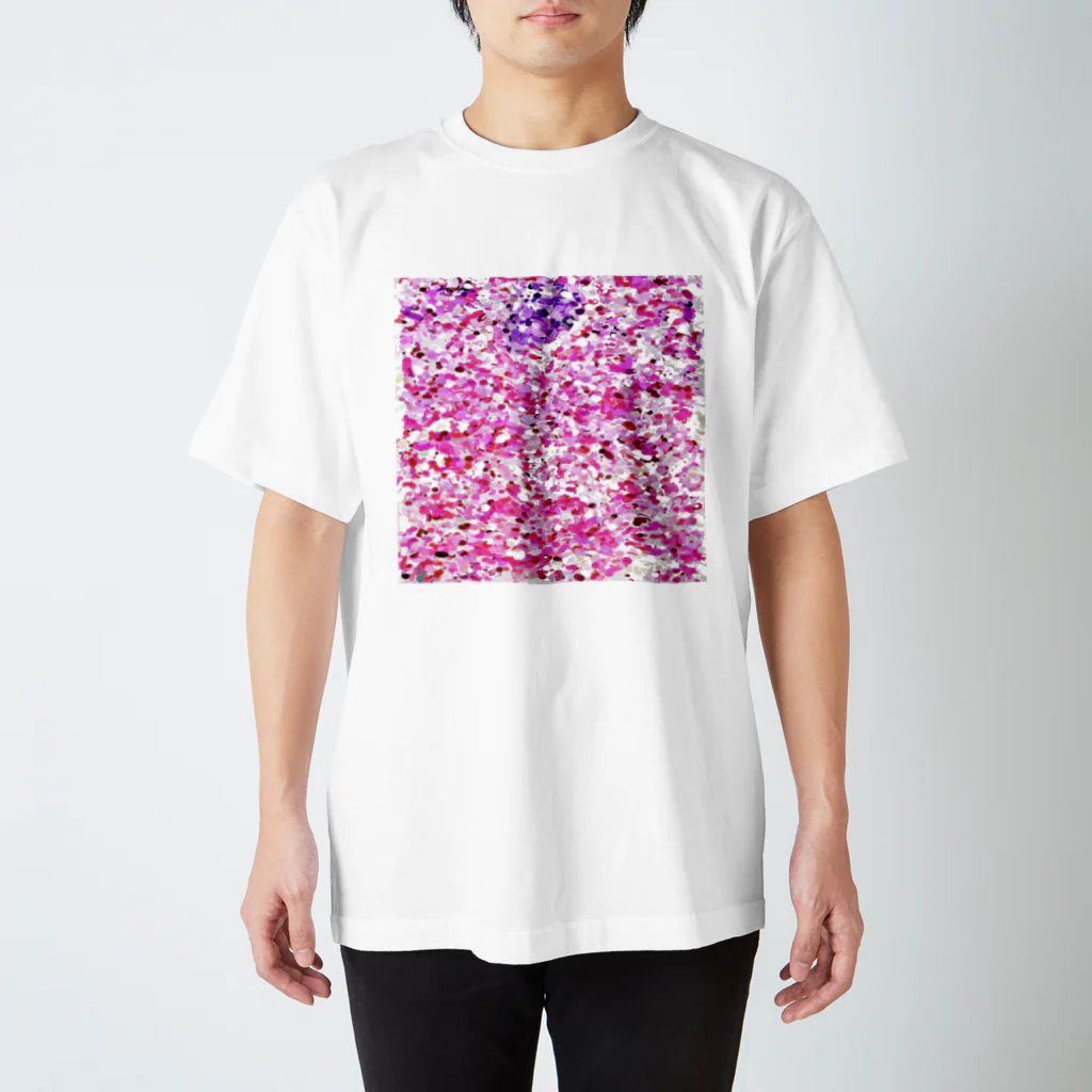 SHCm.のPathology2 スタンダードTシャツ