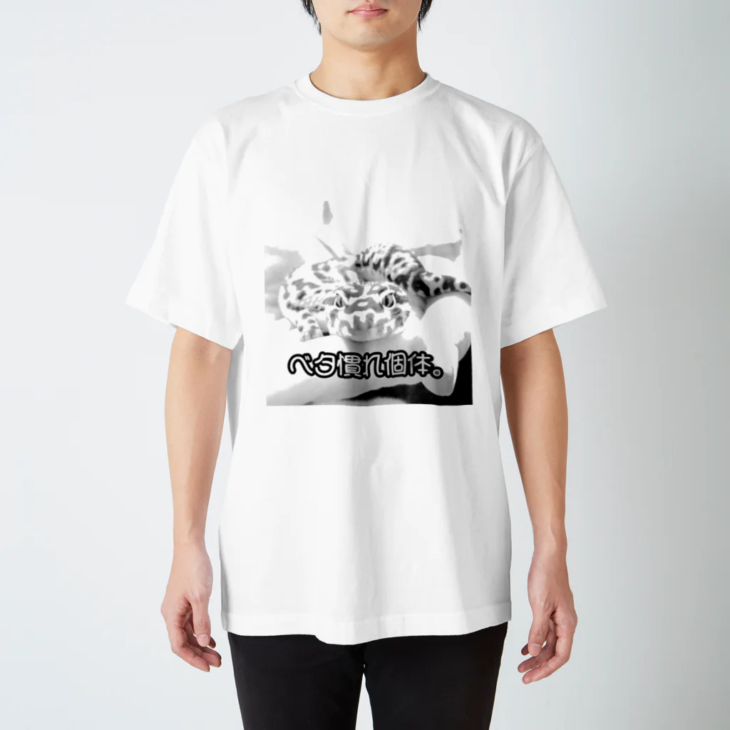 アルフィノのベタ慣れ個体 爬虫類 Regular Fit T-Shirt