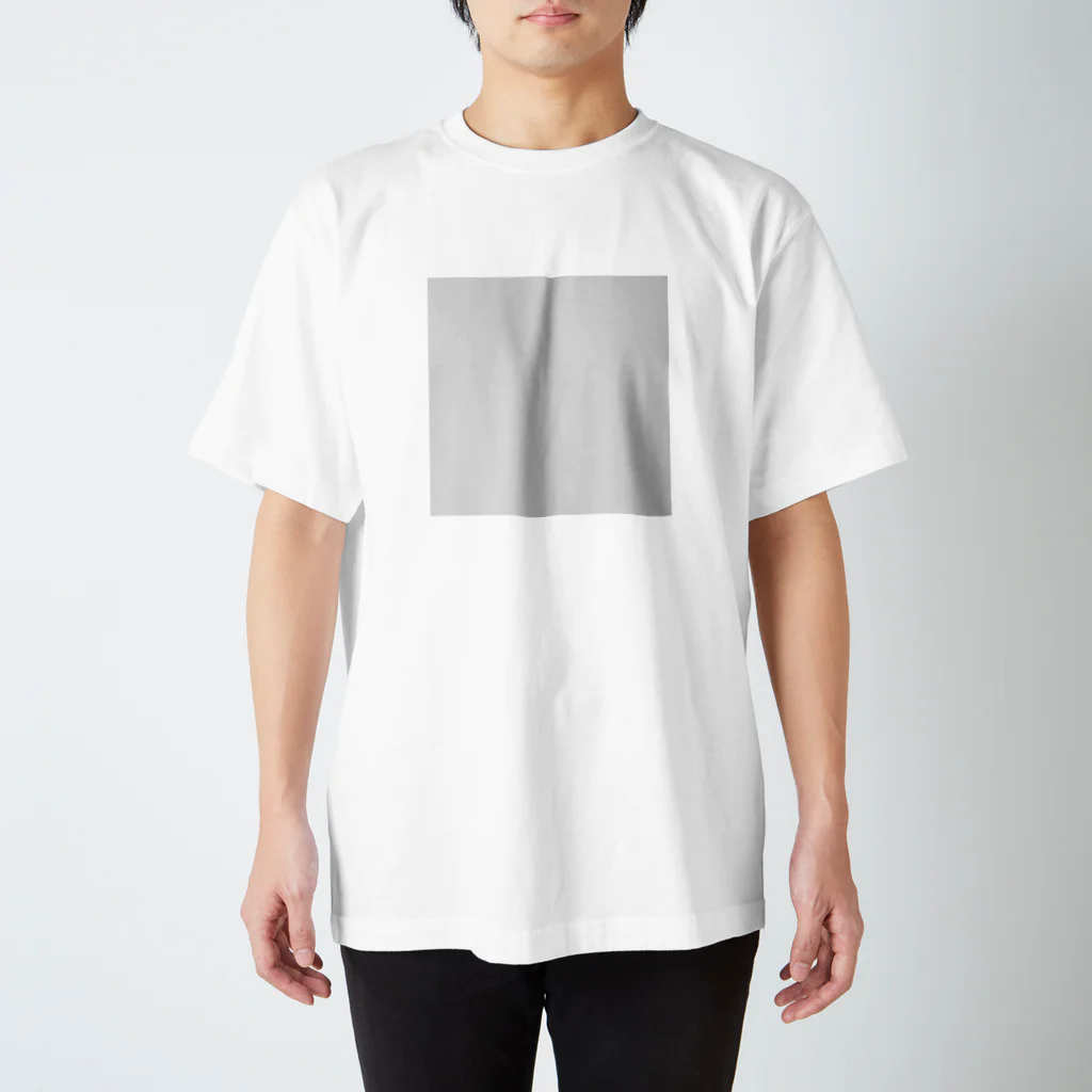 sou114のタイル・グレー Regular Fit T-Shirt