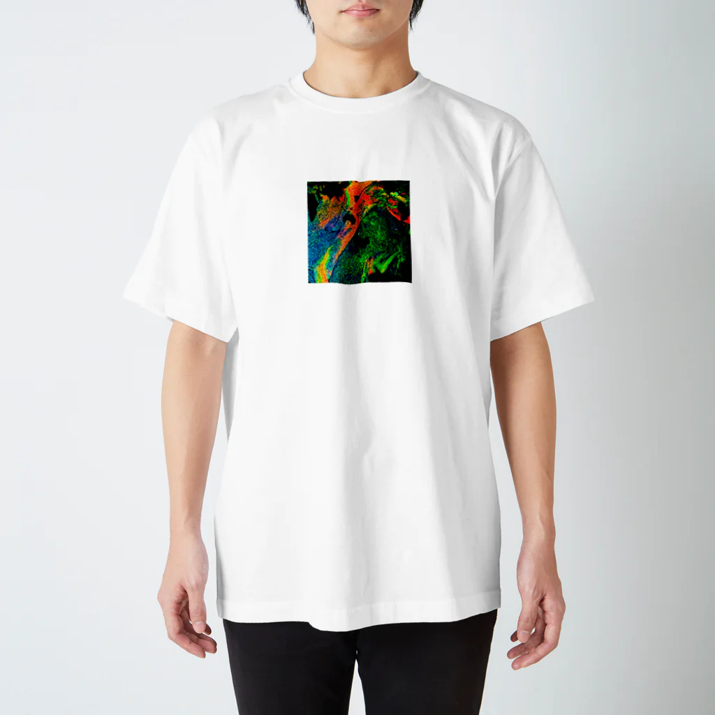 collageの混色2 スタンダードTシャツ