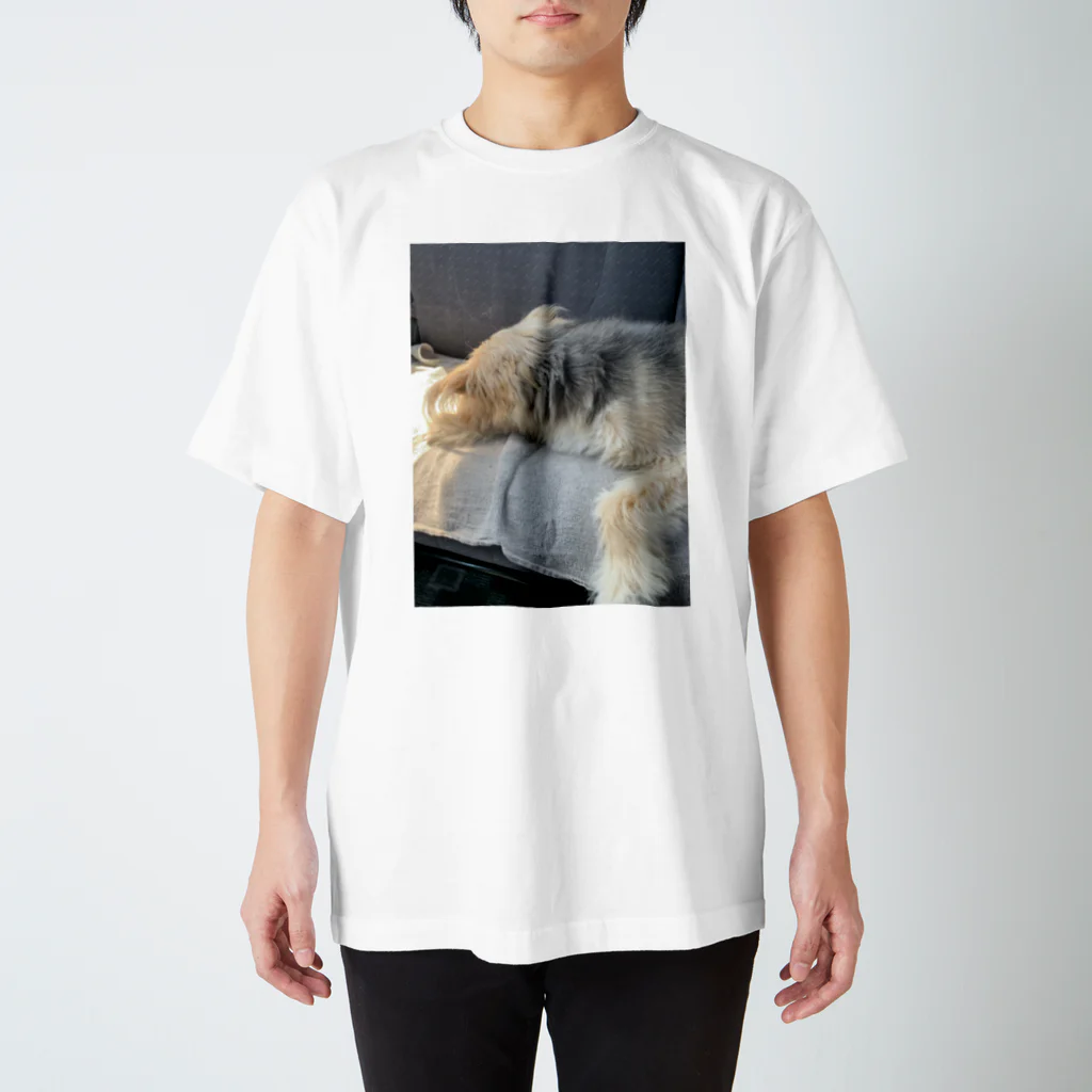 INUGAERUの愛犬クロちゃん　〜睡眠中〜 Regular Fit T-Shirt