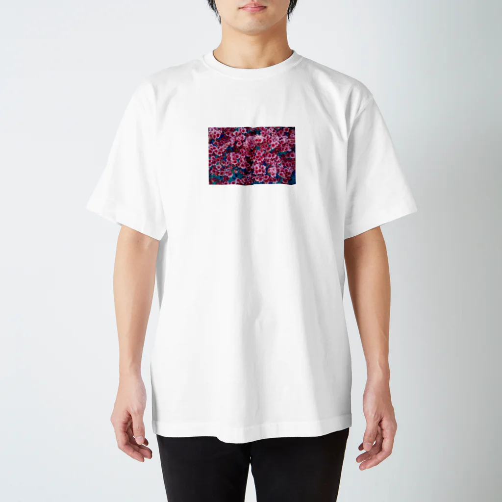 Vespiderの躑躅 Regular Fit T-Shirt