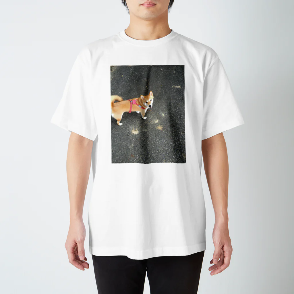 華柴の華柴シリーズ Regular Fit T-Shirt