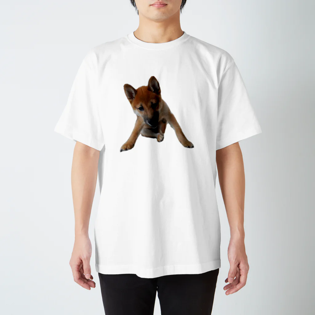 TARO_shibaのやさぐれ太郎 スタンダードTシャツ