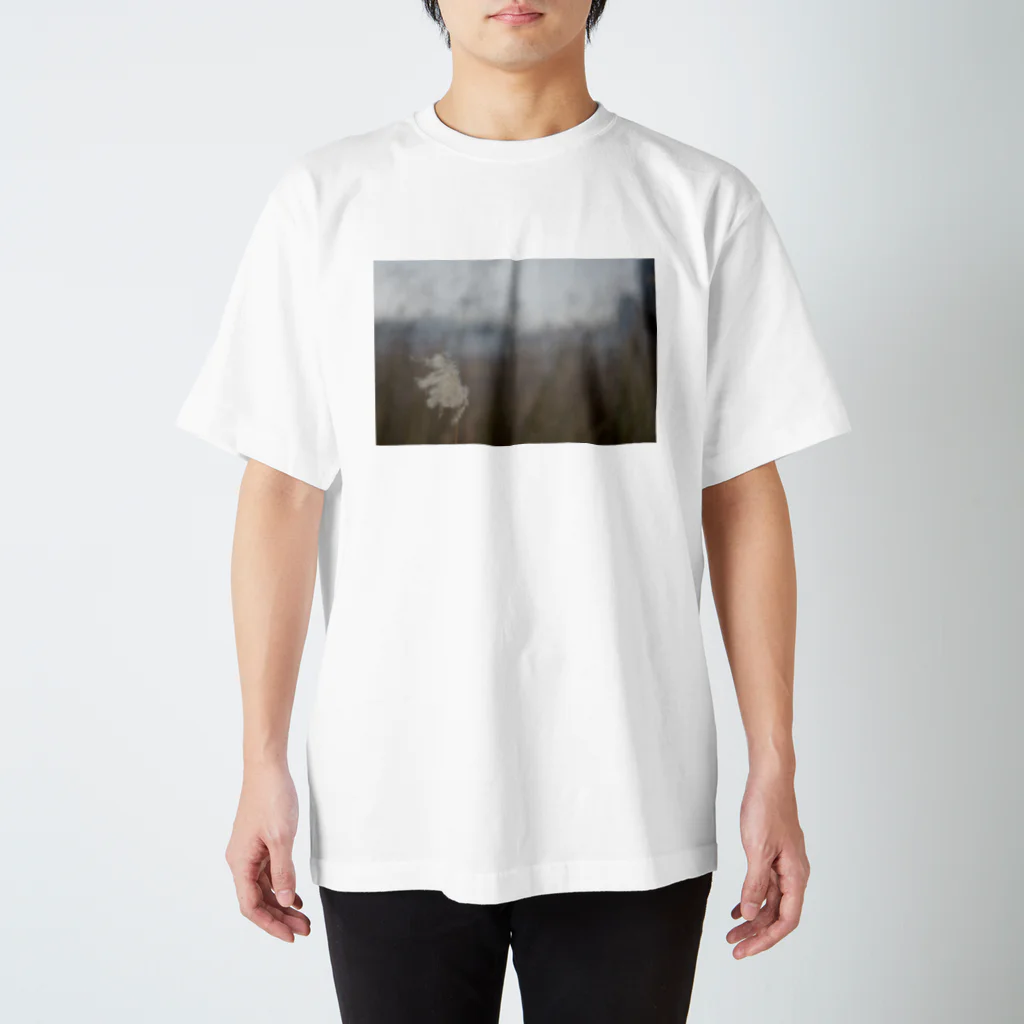 kenjiのa wave motion スタンダードTシャツ