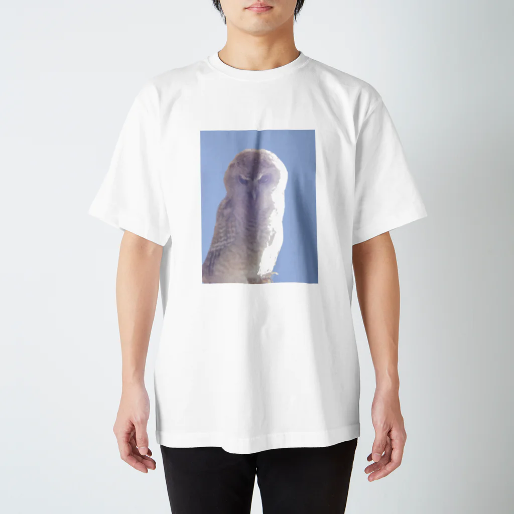 工房もりふくろうのモリフクロウ雛 Regular Fit T-Shirt