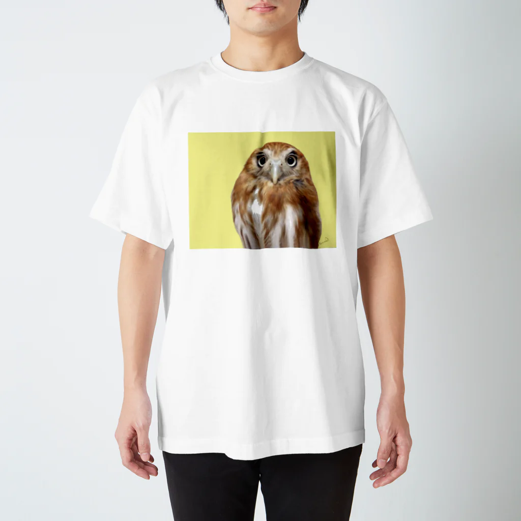 工房もりふくろうのアカスズメフクロウ スタンダードTシャツ