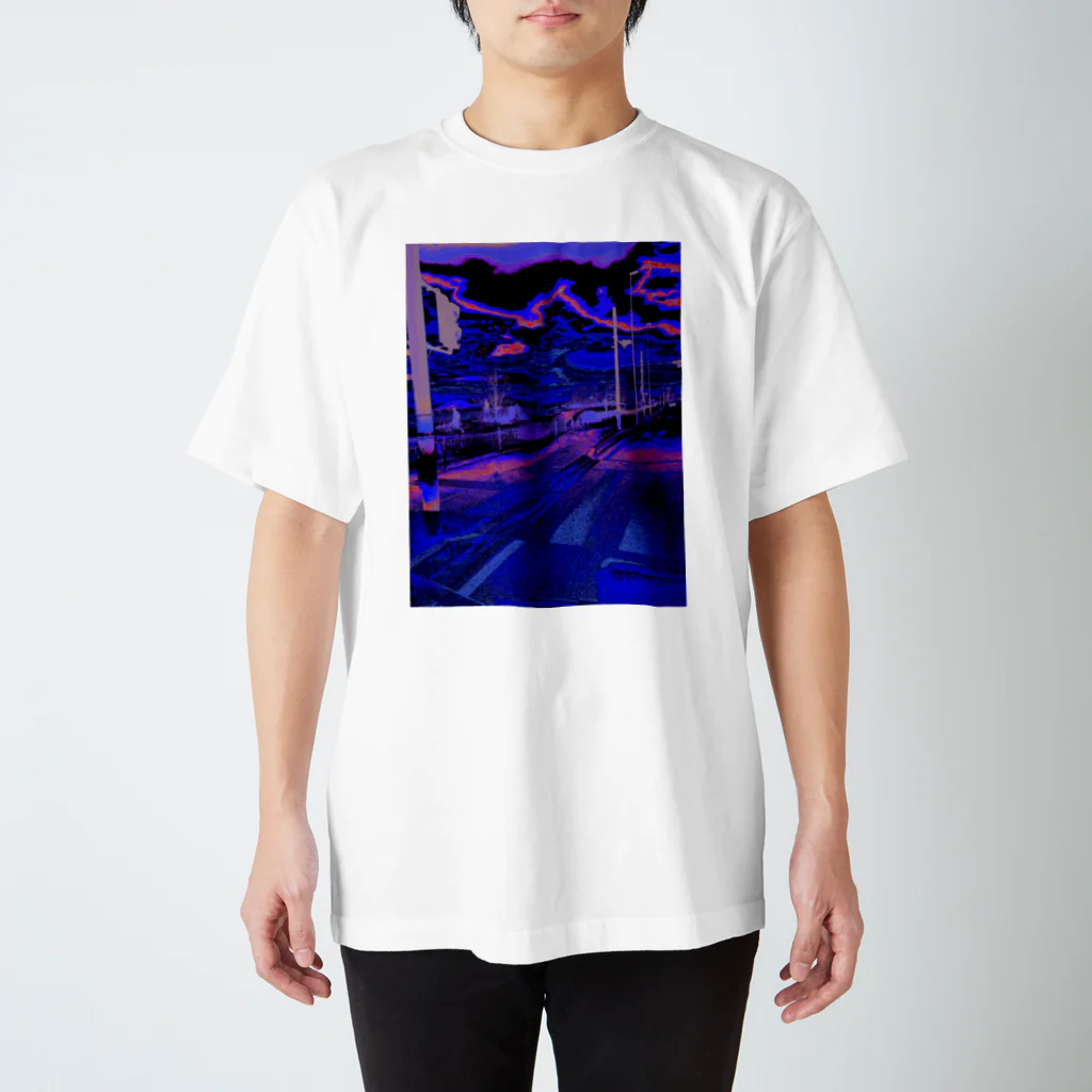 D.W.Cのbiwa lake  Regular Fit T-Shirt