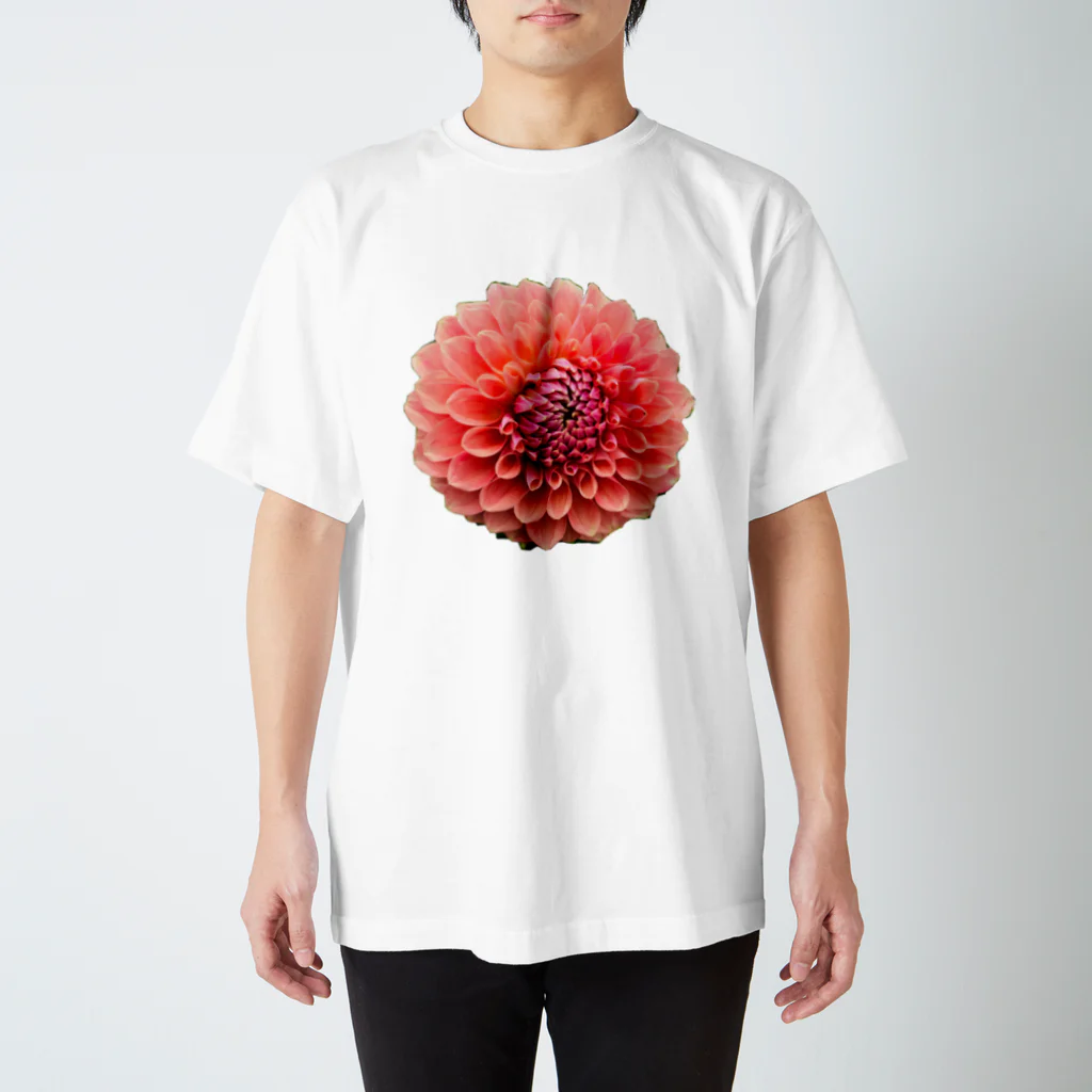 どんちゃ(🎀๑•🐽•๑)🕊のDAHLIA Regular Fit T-Shirt