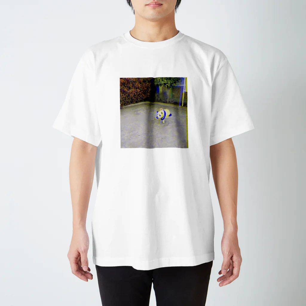 intelligence of 無のlonelyパンダ Regular Fit T-Shirt