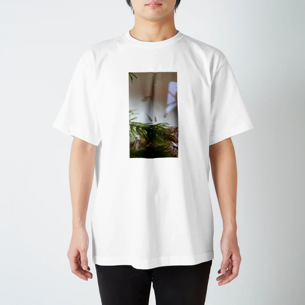 SoooAdorableのメダカ好き Regular Fit T-Shirt