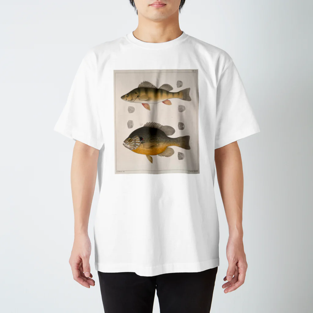 i love unofficialのfishT スタンダードTシャツ